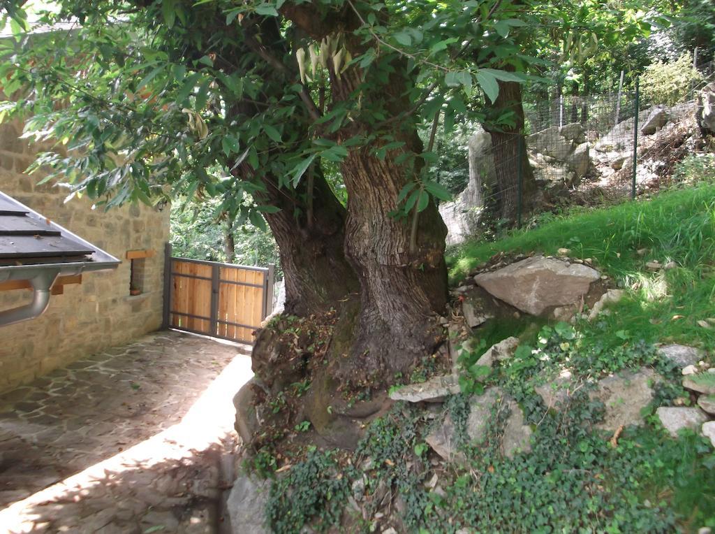 Agriturismo Ai Ronchi Sorico Dış mekan fotoğraf